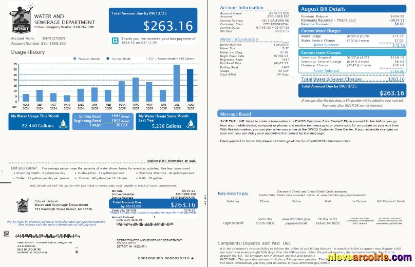 USA Detroit Water and Sewerage Department utility bill, 2 pages, version 5